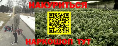 каннабис Славгород