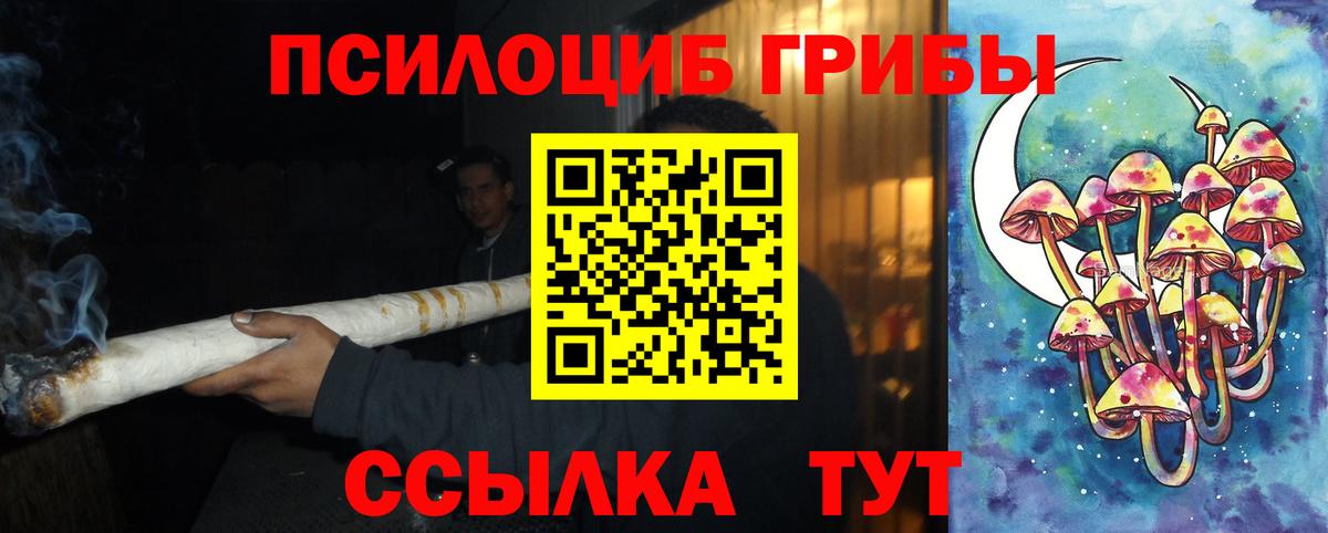 купить наркотик  Галлюциногенные грибы MAGIC MUSHROOMS  Вход с VPN  Нурлат 